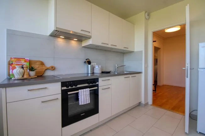 1 Zimmer möbl. Wohnobjekt in Chêne-Bourg – photo 11 sur 13