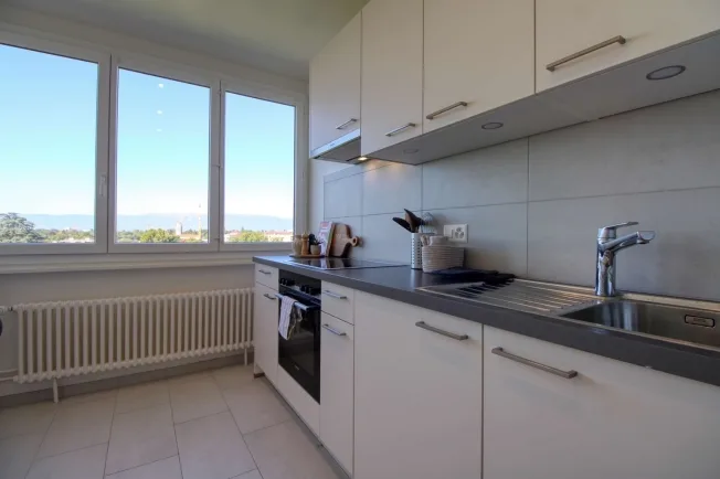 1 Zimmer möbl. Wohnobjekt in Chêne-Bourg – photo 9 sur 13