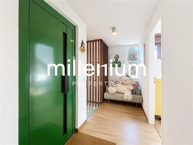 7 Zimmer Einfamilienhaus in Chêne-Bourg – foto 7 di 19