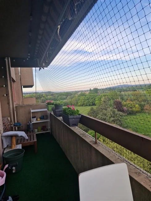 5 Zimmer Wohnung in Thônex – Foto 8 von 10