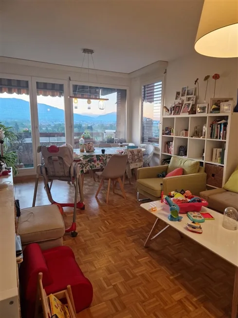 5 Zimmer Wohnung, 1226 Thônex