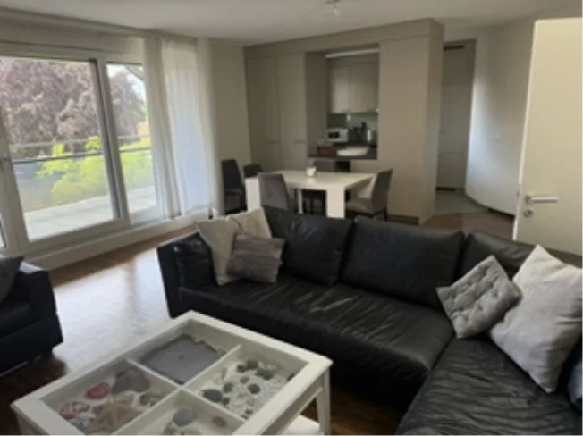 4 Zimmer Attikawohnung, 1226 Thônex