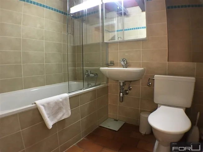 2 Zimmer möbl. Wohnobjekt in Carouge GE – Foto 6 von 6