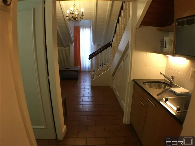 2 Zimmer möbl. Wohnobjekt in Carouge GE – Foto 3 von 6