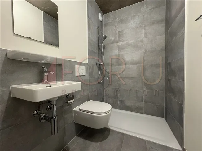 5 Zimmer Wohnung in Carouge GE – photo 12 sur 12
