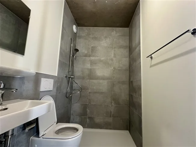 5 Zimmer Wohnung in Carouge GE – Foto 12 von 12