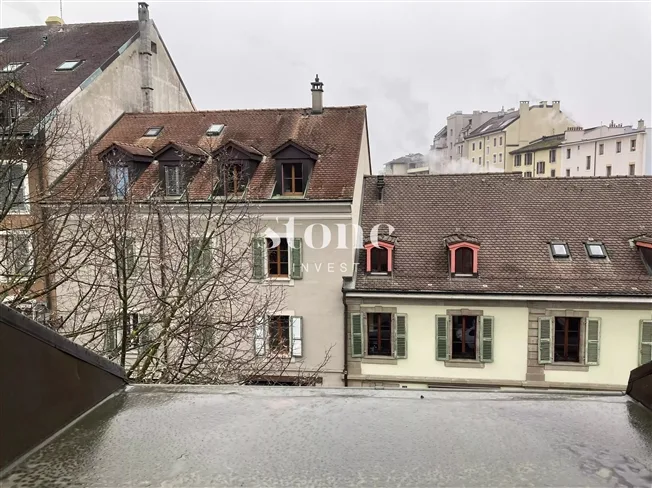 6 Zimmer Wohnung in Carouge GE – foto 2 di 13