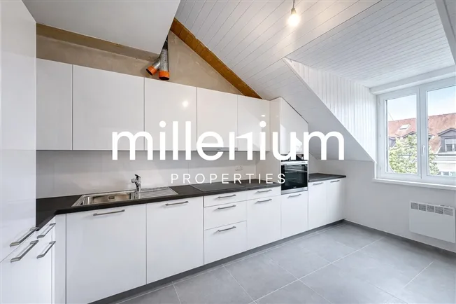 4 Zimmer Wohnung in Carouge GE – photo 3 of 12