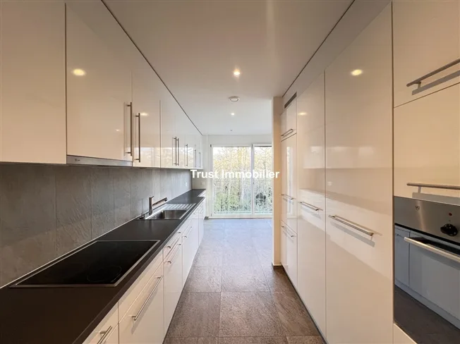10 Zimmer Wohnung in Conches – Foto 6 von 16