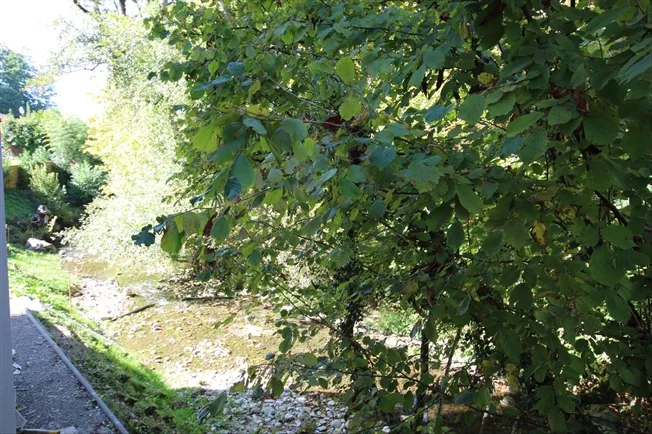 3 Zimmer möbl. Wohnobjekt in Hermance – foto 8 di 8