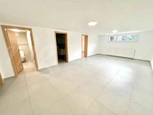 10 Zimmer Einfamilienhaus in Vandoeuvres – photo 17 of 20