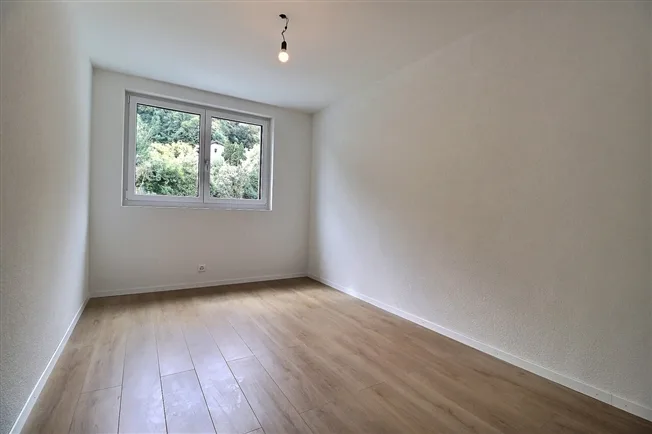 4.5 Zimmer Wohnung, 1898 St-Gingolph