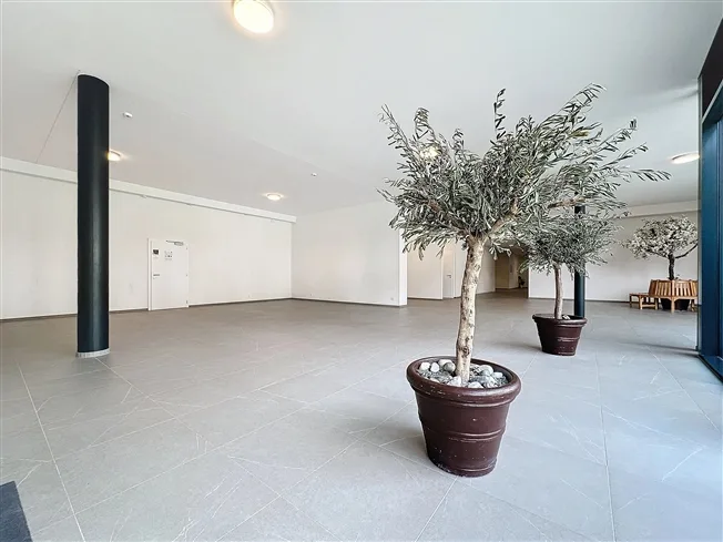 1 Zimmer Wohnung in Saxon – Foto 3 von 5