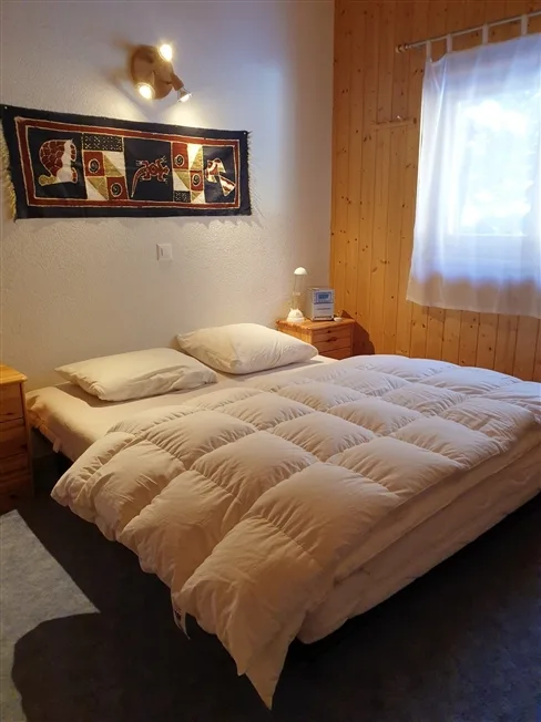 6.5 Zimmer Chalet in Arbaz – photo 5 of 13