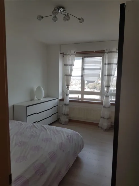 Spacieux et lumineux 3, 5 pièces – foto 8 di 15