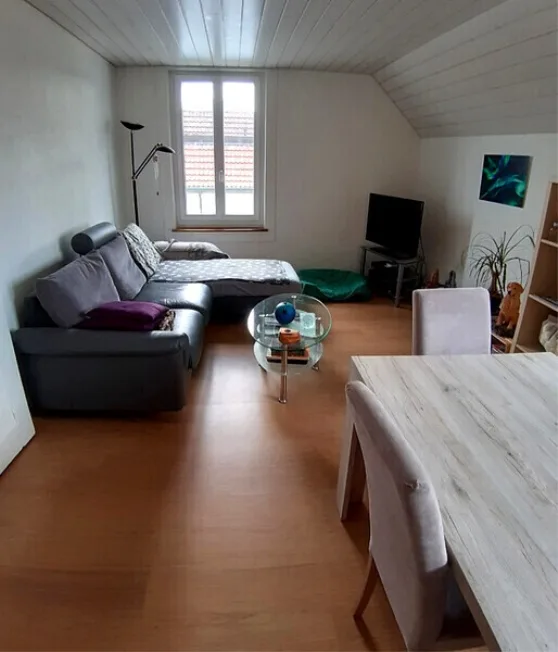 3 Zimmer Wohnung, 3018 Bern