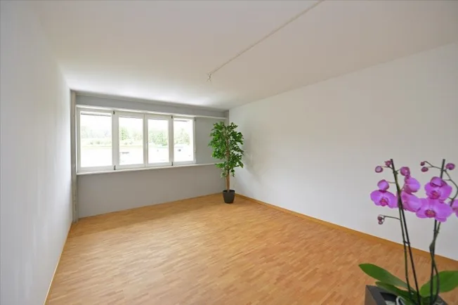 4.5 Zimmer Maisonette, 3550 Langnau im Emmental