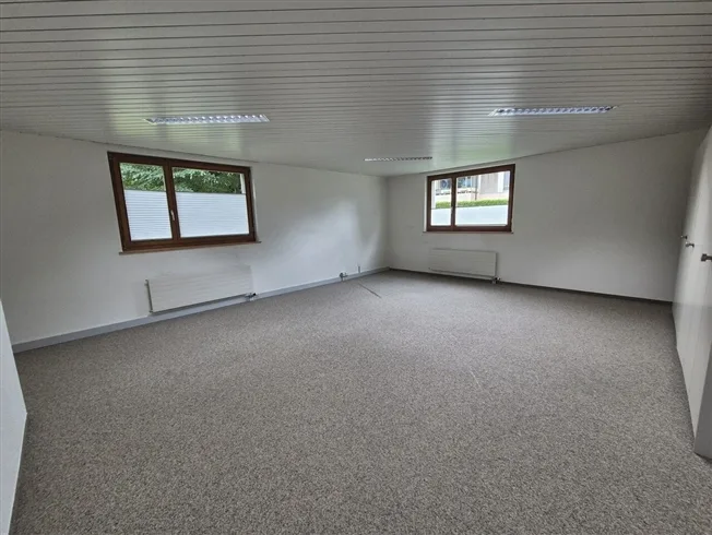 Wohnung, 3700 Spiez