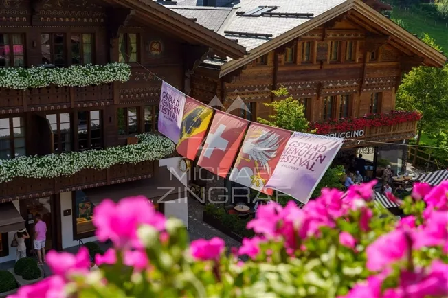 3 Zimmer Wohnung in Gstaad – Foto 19 von 19
