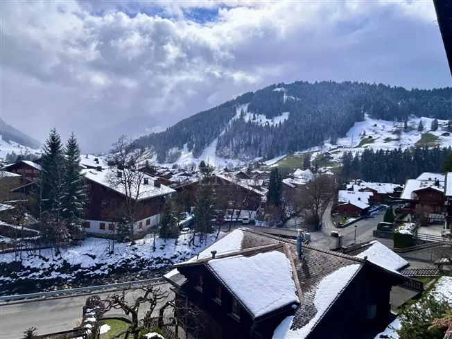 4 Zimmer Wohnung in Gstaad – foto 4 di 18