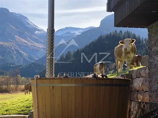 4 Zimmer Chalet in Lauenen BE – Foto 13 von 16