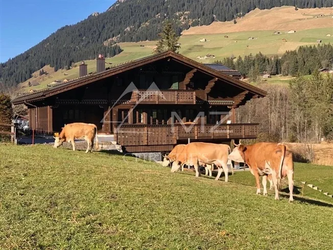 4 Zimmer Chalet in Lauenen BE – Foto 14 von 16