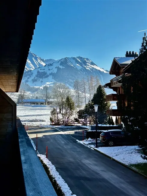 3.5 Zimmer Wohnung in Saanen – Foto 8 von 20