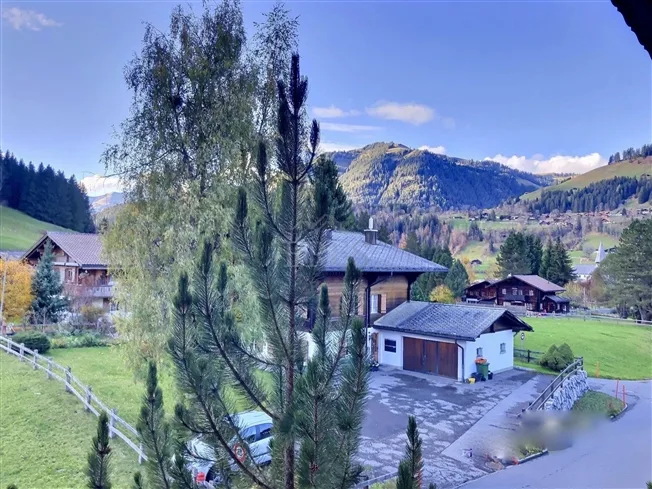 3 Zimmer Wohnung in Saanen – Foto 3 von 14