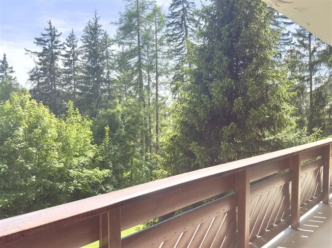 4 Zimmer Wohnung in Crans-Montana – photo 15 sur 15