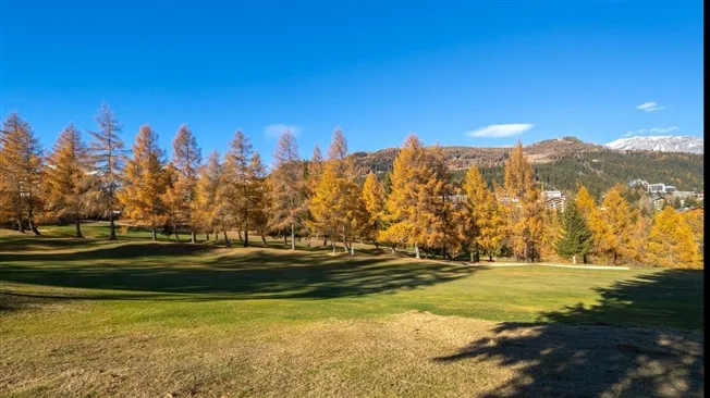 3.5 Zimmer Wohnung in Crans-Montana – foto 14 di 14