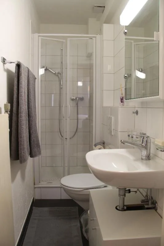 3 Zimmer möbl. Wohnobjekt in Basel – photo 4 of 5