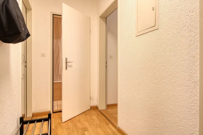 Cozy Single Room with Balcony in a Flat-Share – Basel St. Johann – foto 11 di 17