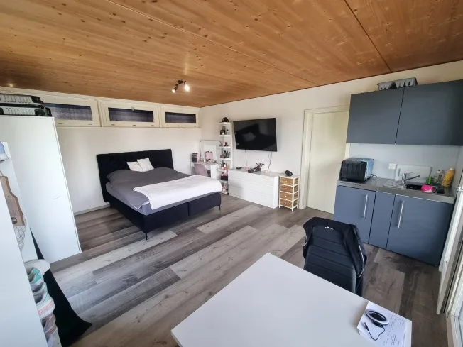 1 Zimmer Wohnung, 4628 Wolfwil