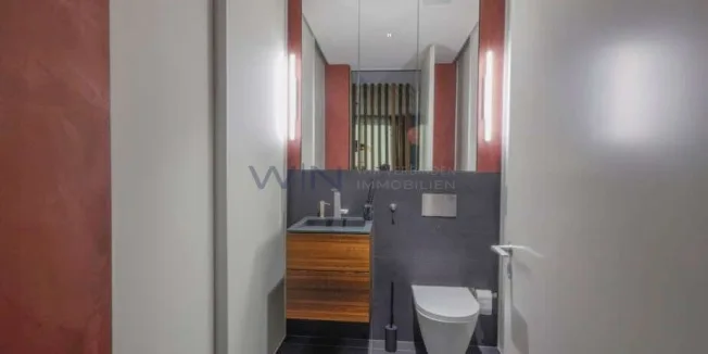 Loft, 5210 Windisch