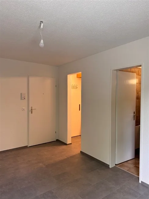 1 Zimmer Wohnung in Hitzkirch – Foto 7 von 7