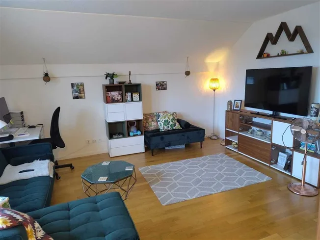 3 Zimmer Wohnung, 6340 Baar