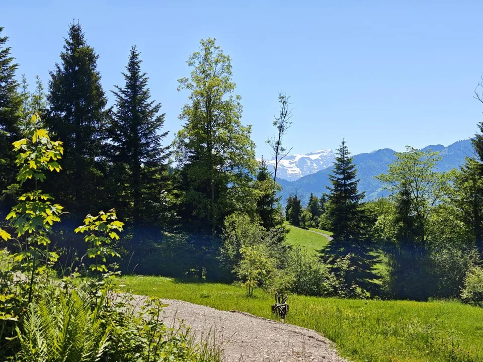 4.5 Zimmer Einfamilienhaus, 6422 Steinen