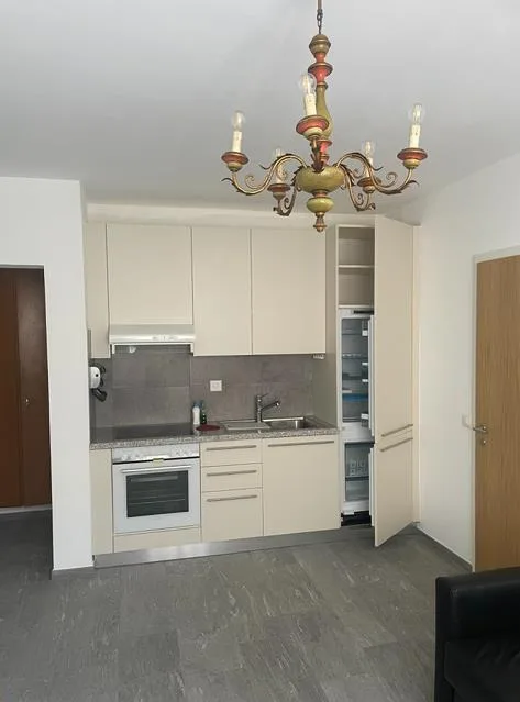 2.5 Zimmer Wohnung in Brione sopra Minusio – Foto 2 von 8