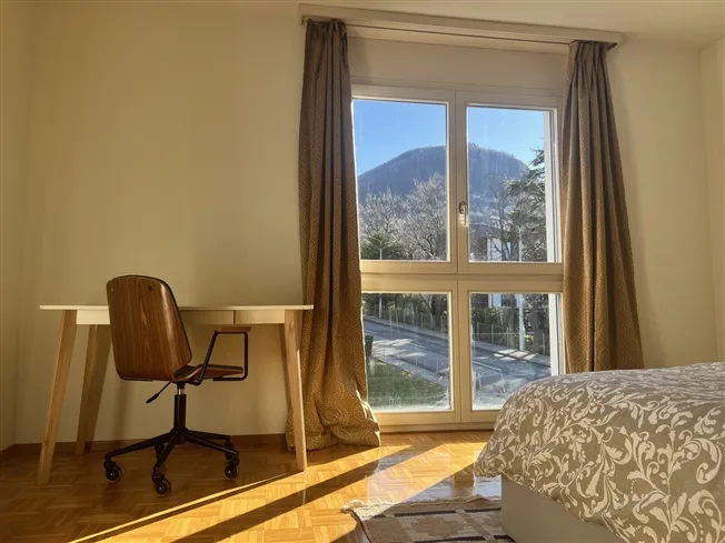 3.5 Zimmer Wohnung in Pregassona – foto 6 di 10