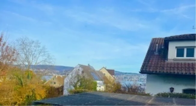 5 Zimmer Einfamilienhaus in Zürich – photo 3 sur 10