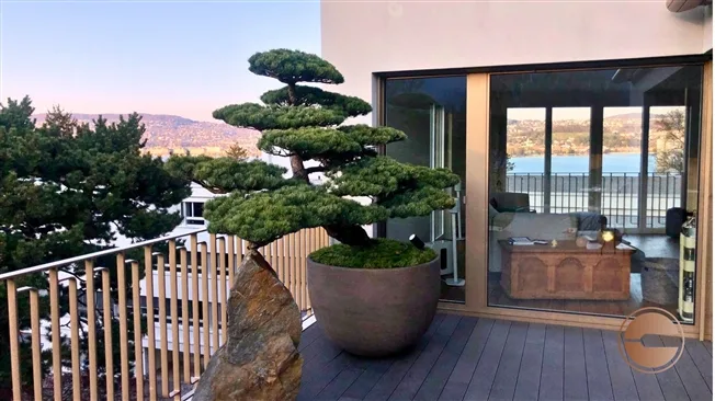 3.5 Zimmer möbl. Wohnobjekt in Zürich – photo 11 sur 12