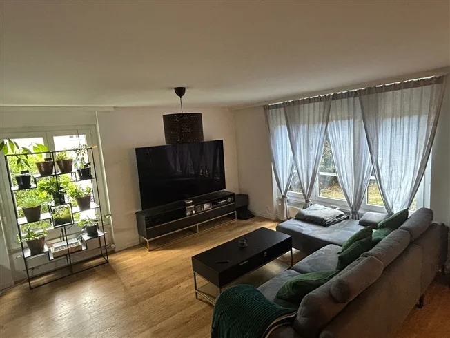 4.5 Zimmer Wohnung, 8049 Zürich