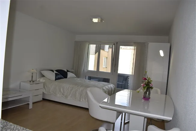 1.5 Zimmer möbl. Wohnobjekt in Niederhasli – photo 3 of 18