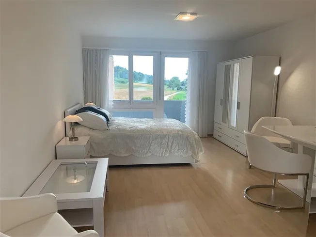 1.5 Zimmer möbl. Wohnobjekt in Niederhasli – photo 7 of 18
