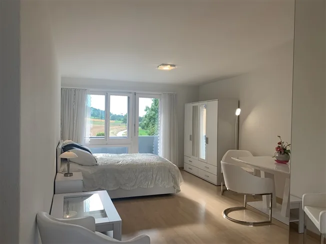 1.5 Zimmer möbl. Wohnobjekt in Niederhasli – photo 5 of 18