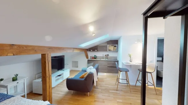 1.5 Zimmer möbl. Wohnobjekt in Schaffhausen – Foto 3 von 11