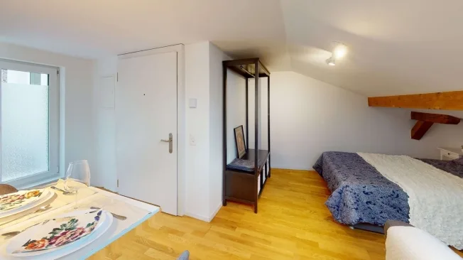 1.5 Zimmer möbl. Wohnobjekt in Schaffhausen – Foto 10 von 11