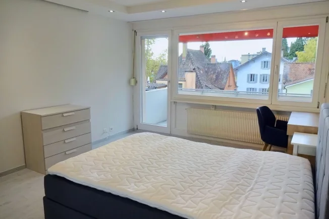 1 Zimmer möbl. Wohnobjekt in Neuhausen am Rheinfall – photo 3 sur 13