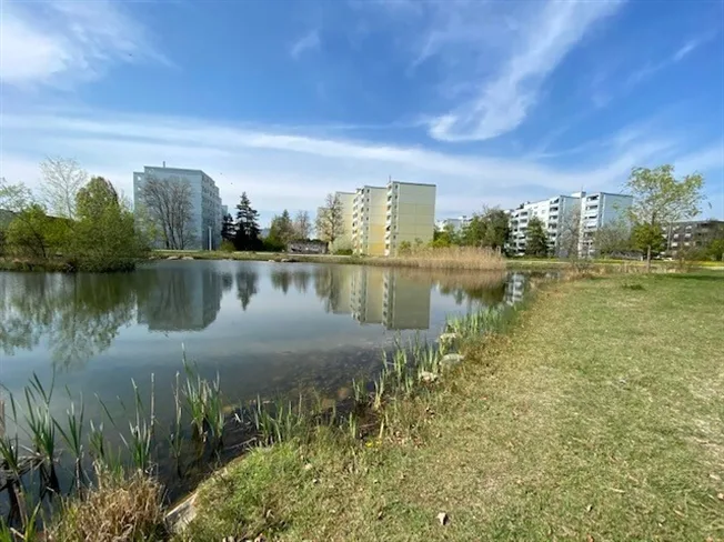 5.5 Zimmer Wohnung in Volketswil – photo 9 sur 10