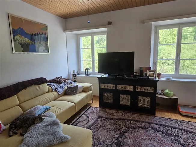 2.5 Zimmer Wohnung, 8820 Wädenswil